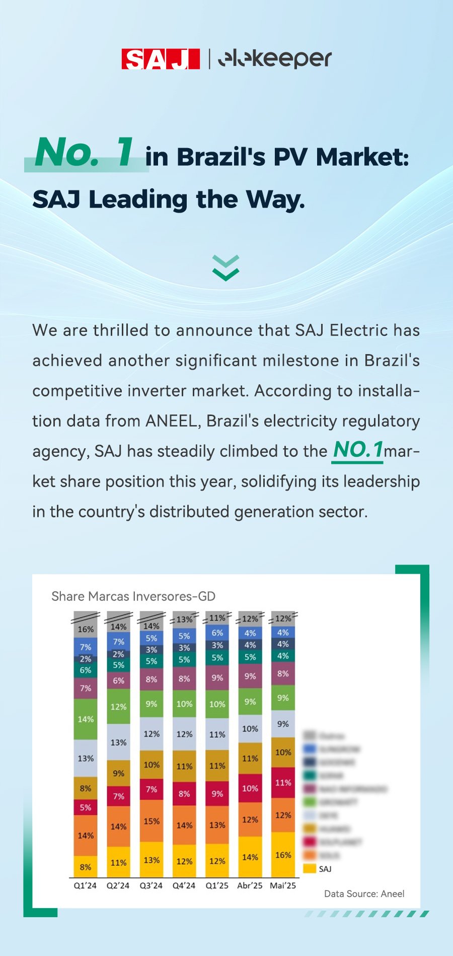 巴西市占率-EN_01