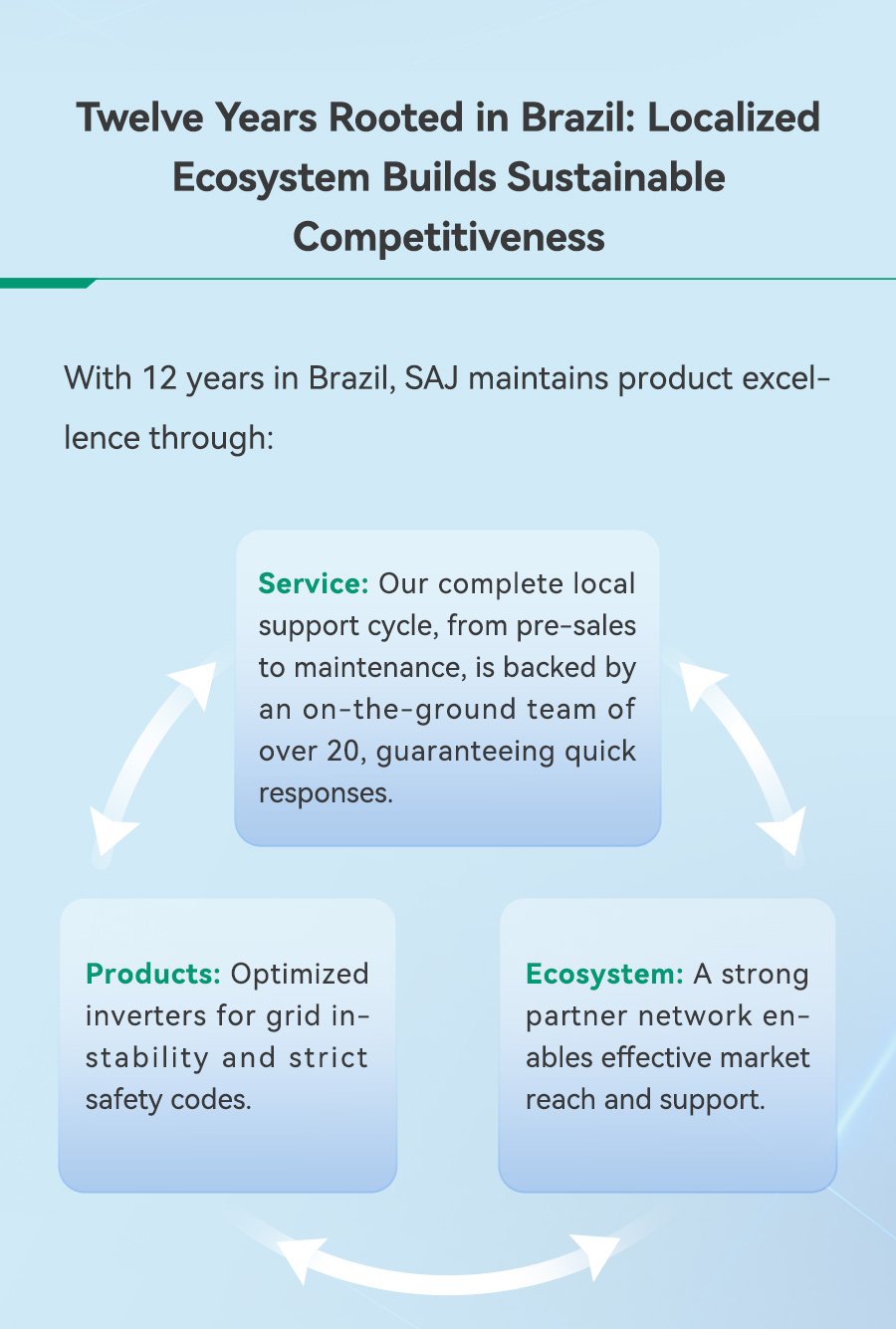 巴西市占率-EN_06