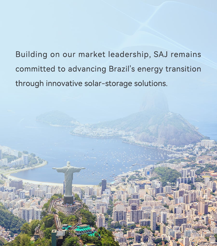 巴西市占率-EN_07